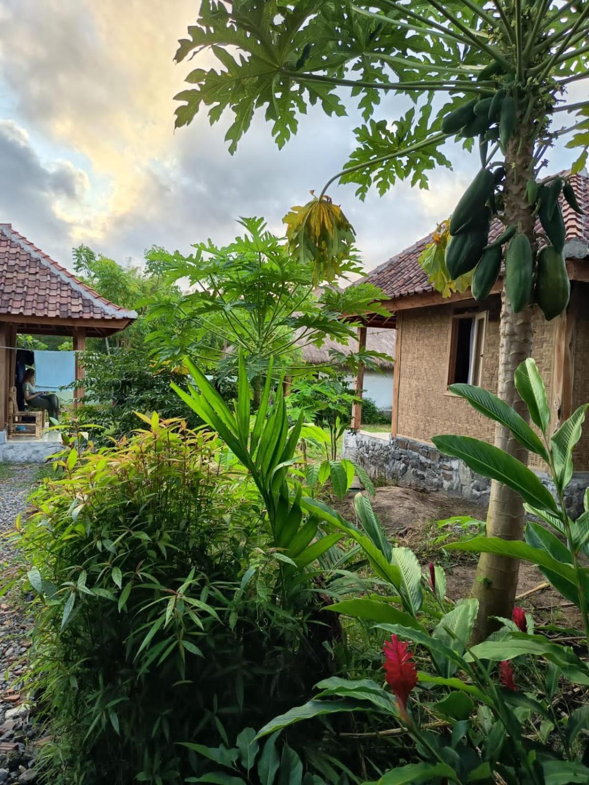 Melody Surf - Ekas Lombok Hotel Exterior foto