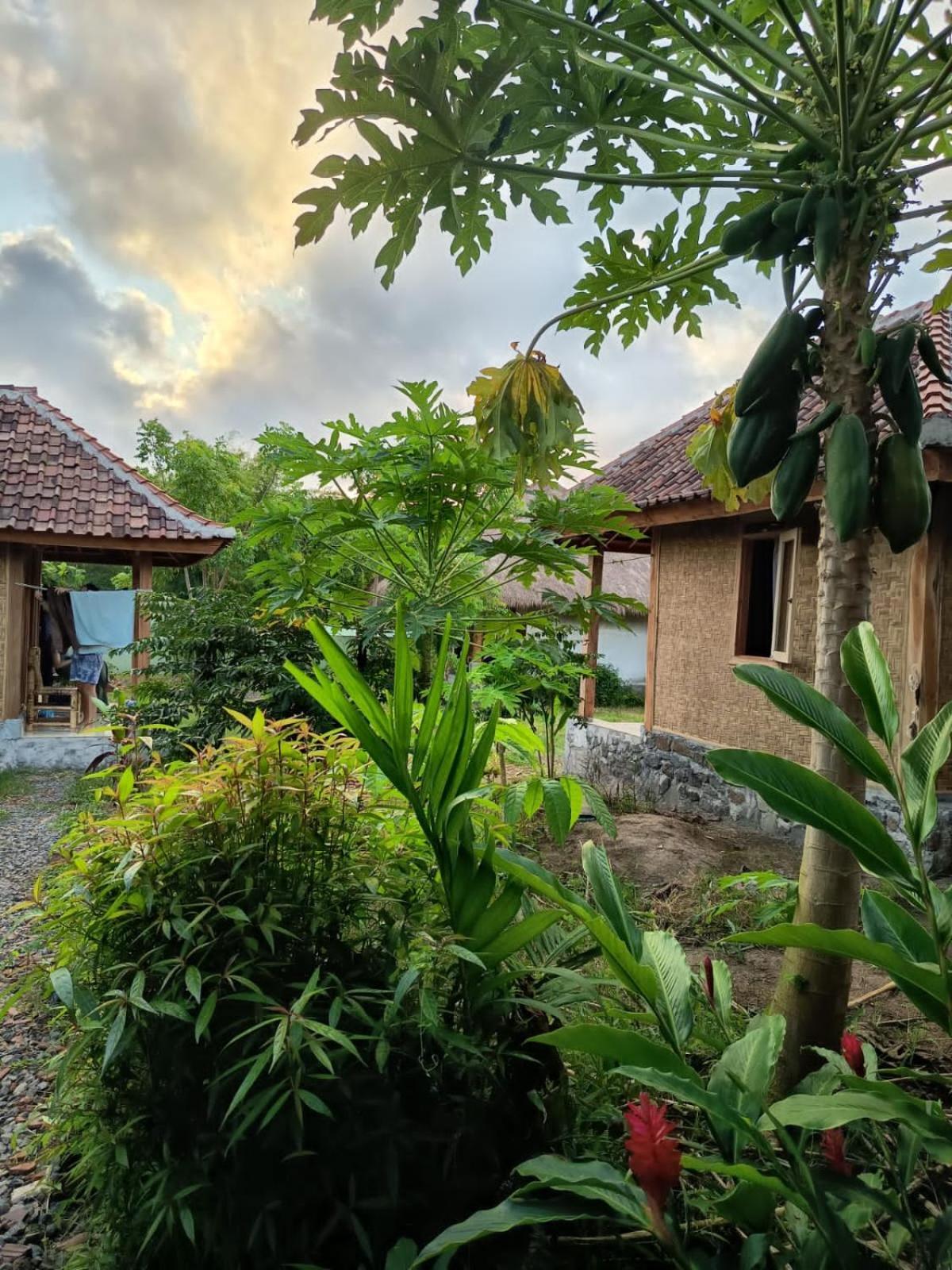 Melody Surf - Ekas Lombok Hotel Exterior foto